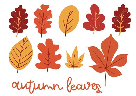 Autumn Leaves Leaf Leaf Illustration Autumn Png And Vector With