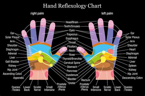 Right Hand Reflexology Chart