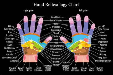 Learning From A Hand Reflexology Chart To Promote Quality Of Life