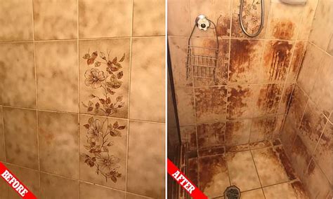 Womans Bathroom Is Likened To A Murder Scene After She Scrubbed The