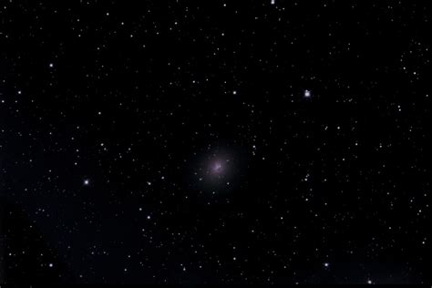 Dwarf Galaxy Ngc185 See The Glory