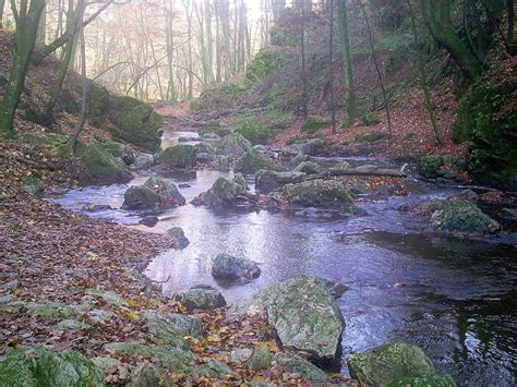 Hongarije is ook erg geschikt voor een actieve vakantie. Hungary's most beautiful natural wonders: Cuha stream ...