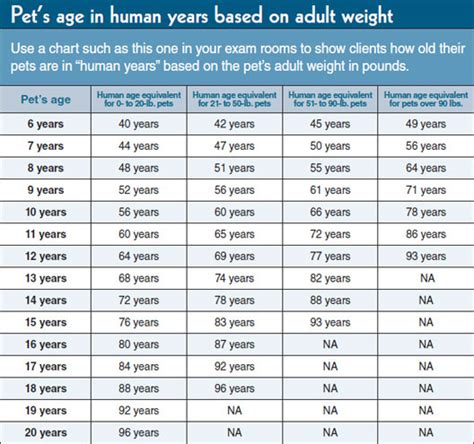 The following cat age conversion chart may be used to translate cat years into human years. Cat Years To Human Years Chart - Cat and Dog Lovers