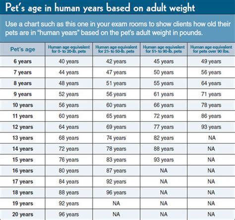 When a cat has fully grown into an adult, each cat year is equivalent. Cat Years To Human Years Chart - Cat and Dog Lovers