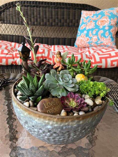 Pictures Of Fairy Gardens With Succulents Beautiful Flower