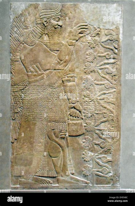 Assyrian Archaeology Hi Res Stock Photography And Images Alamy