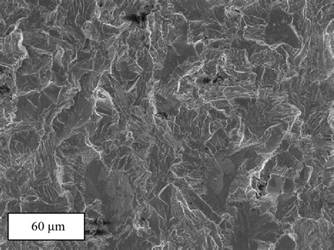 Transgranular fracture morphology for the old X52 steel at ...