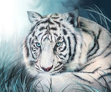 White Tiger Spirit Of Sensuality By Carol Cavalaris Redbubble