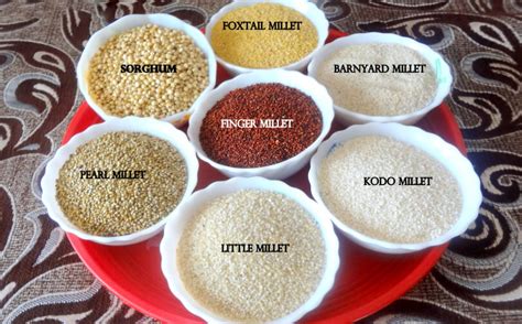 Types Of Millets Man Matters