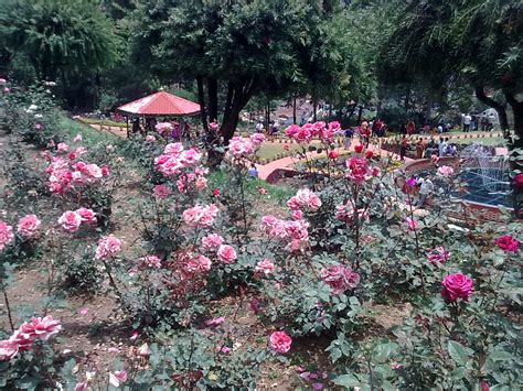 Check spelling or type a new query. Garden Care Simplified: The Beautiful Rose Garden in Ooty