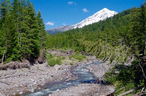Hike Of The Month Muddy Fork Loop Trailkeepers Of Oregon