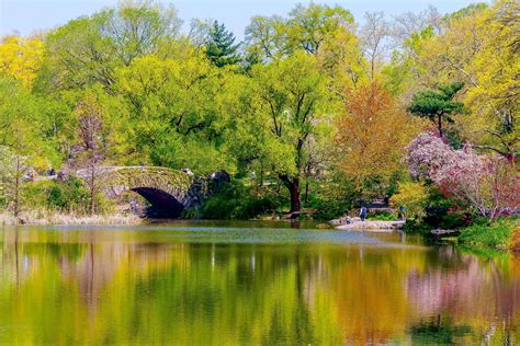 Central Park Spring Wallpapers Wallpaper Cave