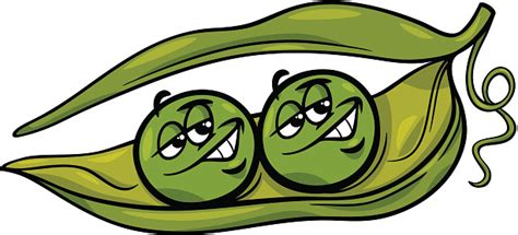 Like Two Peas In A Pod Cartoon Stock Illustration Download Image Now
