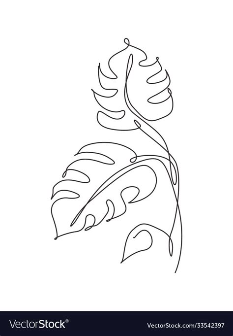 Single Continuous Line Drawing Tropical Monstera Vector Image