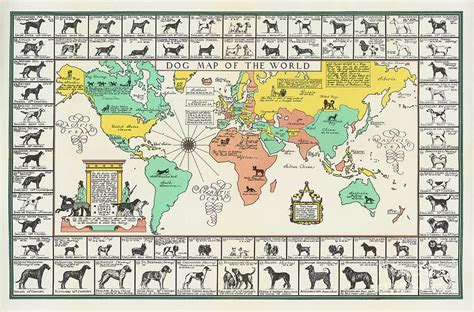 Joseph P Sims Dog Map Of The World C1940 Digital Art By Vintage Map