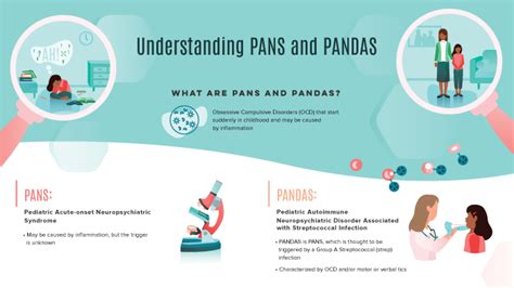 Understanding Pans And Pandas Poster Understand Infographics