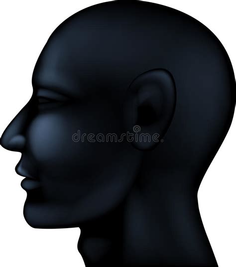 Human Head Silhouette Stock Vector Illustration Of Isolation 28524324