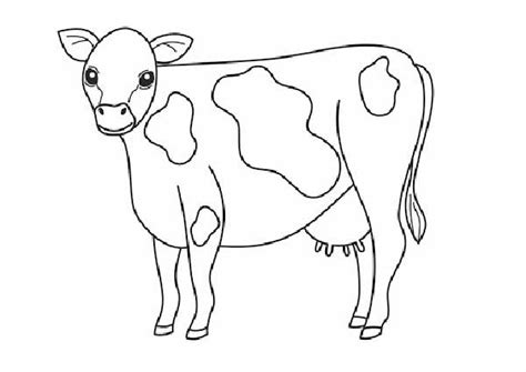 89 Desenhos de Vacas para Imprimir e Colorir com Lápis de Cor