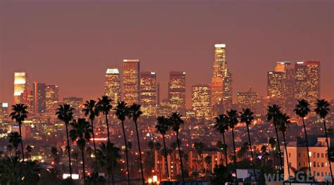 As a city, we've bred world class talent and attracted some of the biggest names in entertainment. What is Smog? (with pictures)