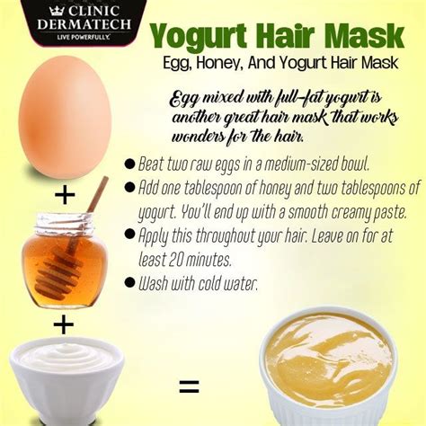 discover more than 83 egg hair mask super hot in eteachers