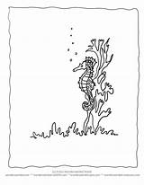 Ocean Coloring Pages Seaweed Seahorse Choose Board Book sketch template