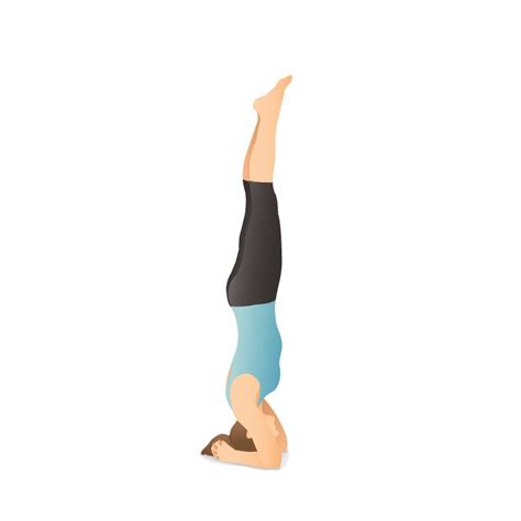 How to fall out of handstand & finally get away from the wall how to do tittibasana/the firefly pose. 68 best Asanas images on Pinterest | Yoga poses, Sanskrit ...