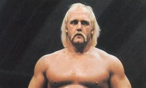Former Wrestler Claims Hulk Hogan Cost Former Wwe Booker His Job