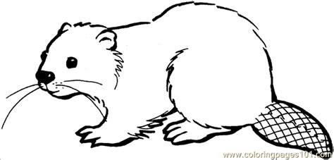 August 18th, 2016 17:34:47 pm beavers admin. beaver drawings | ... printable coloring page Beaver 16 ...