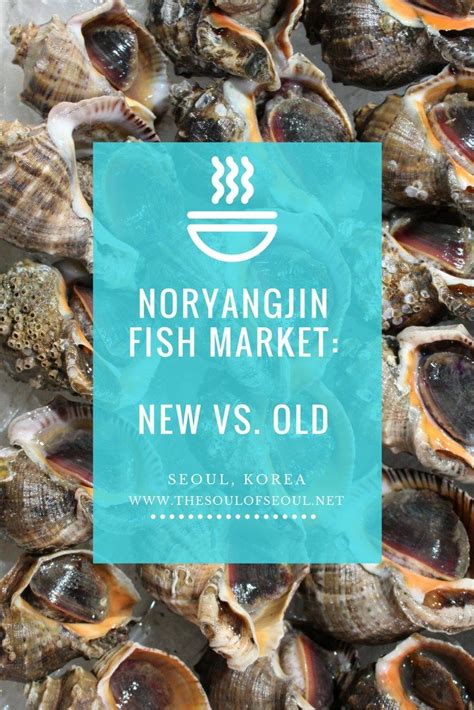 Noryangjin Fish Market A Guide For What To See And What To Order Fish