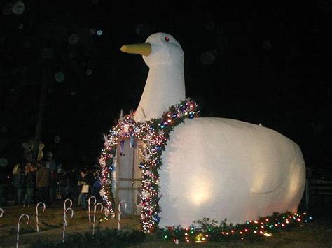 Long island's most famous landmark, the big duck is listed on the national register of historic places in washington, d.c. The Big Duck Holiday Lighting Ceremony Set For Wednesday ...