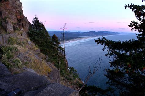What is that pesky domoic acid stuff? And why it affects the Oregon