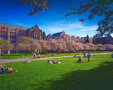 The University Of Washington Seattle And Bothell Campuses Portrait