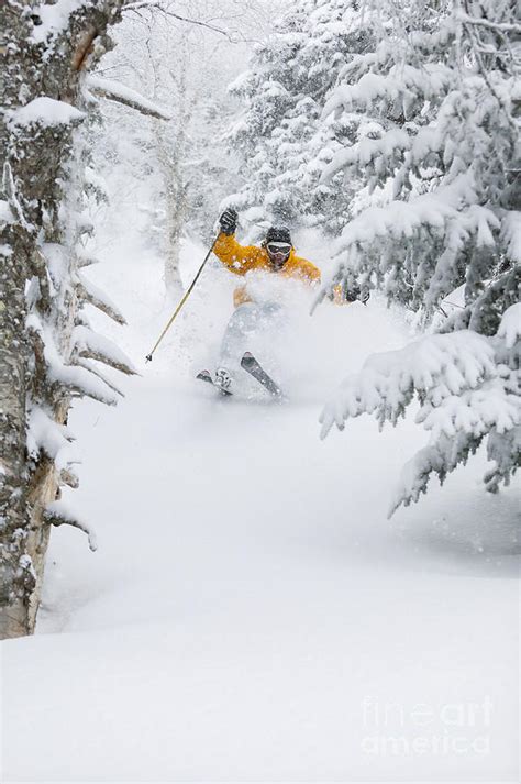 Expert Skier Skiing Deep Powder Snow Photograph By Don Landwehrle