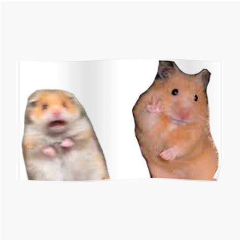 Hamster Peace Sign Posters Redbubble