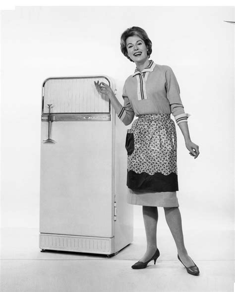 A Brief History Of The Refrigerator Depolreablesunite