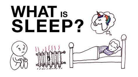What Is Sleep The Science Of Sleep Youtube
