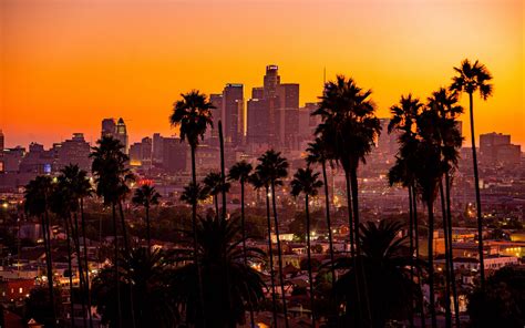 Download Wallpaper 1680x1050 City Palm Trees Sunset