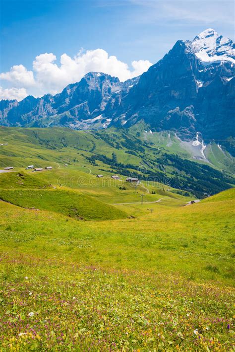 Alps Swiss Stock Image Image Of Europe Flowers Calm 80325013