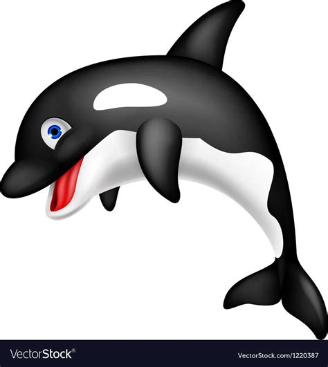 Vector Illustration Of Cute Orca Cartoon Download A Free Preview Or