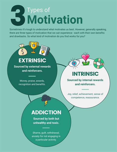 Types Of Motivation Comparison Infographic Venngage