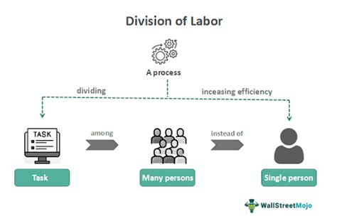 Division Of Labor What Is It Examples Advantage Disadvantage