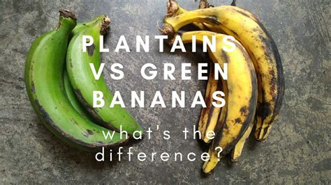 Plantains Vs Green Bananas Whats The Difference Leo Tunapika