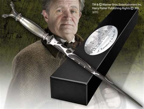Rowling wrote, but jim broadbent captured his deep regret mixed with greedy pursuit of comfort and influence.in those latter things, slughorn would often skirt the. Toverstaf Professor Slakhoorn (Slughorn) uit Harry Potter ...