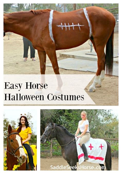Horse Halloween Ideas Horse Halloween Costumes Animal Costumes