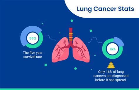 Lung Cancer Screening Guide For Men Everything You Need To Know