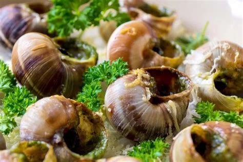 Mengenal Escargot Makanan Khas Perancis Yang Populer Dan Nikmat