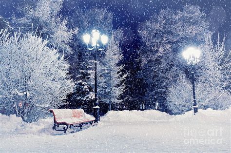 Winter Night Landscape Scene Of Snow Photograph By Marina
