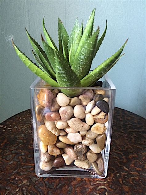 Cool 60 Unique And Creative Succulents In Glass Indoor Garden Ideas About Ruth Vasos