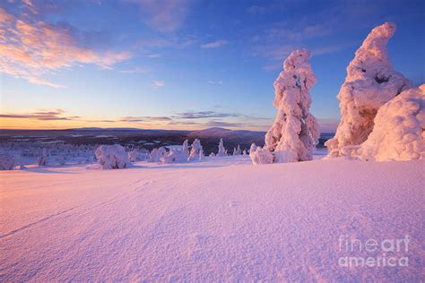 Sunset Over Frozen Trees On A Mountain Levi Finnish Lapland