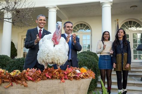 President Obamas Final Turkey Pardon